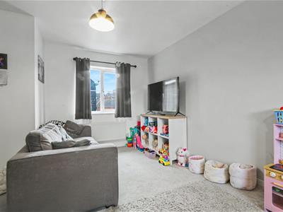 Picture 7